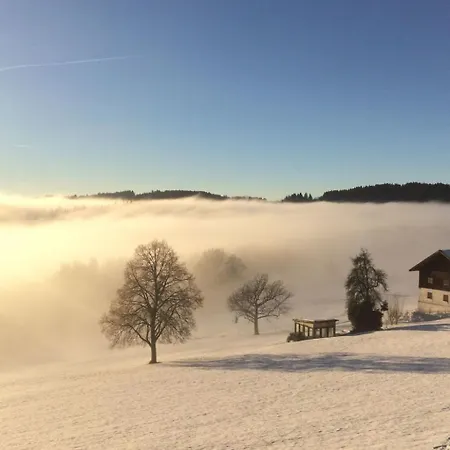 Im Bayerischen Wald Inkl- Aktivcard By Interhome Appartamento Sankt Englmar