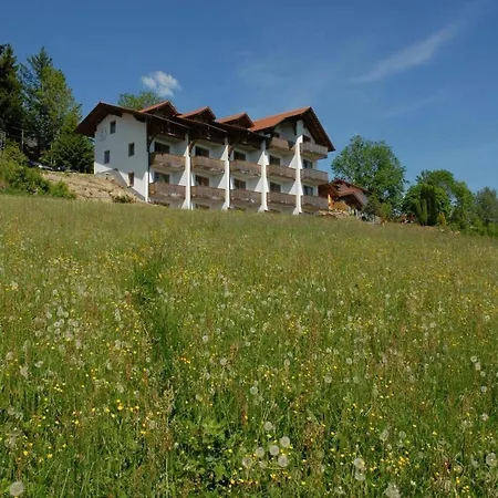 Im Bayerischen Wald Inkl- Aktivcard By Interhome