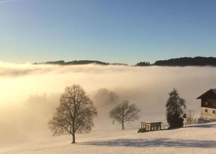 Im Bayerischen Wald Inkl- Aktivcard By Interhome Apartament Sankt Englmar