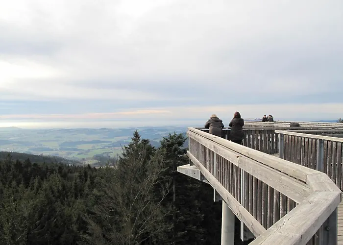 Im Bayerischen Wald Inkl- Aktivcard By Interhome Apartament